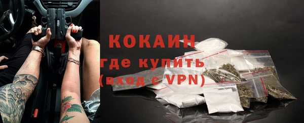 прущие грибы Покров