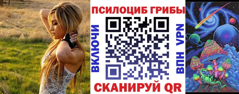 маркетплейс какой сайт  Старая Русса  Галлюциногенные грибы мицелий 